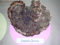 DAEDALEA QUECINA